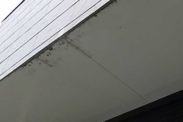 雨漏りが発生している症状:軒天にカビや雨染みがある