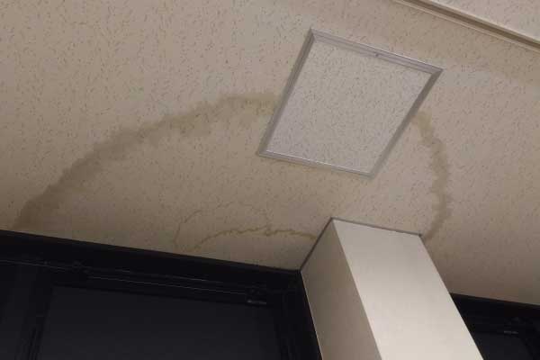 雨漏りが発生している症状:天井や壁にシミやカビが発生している